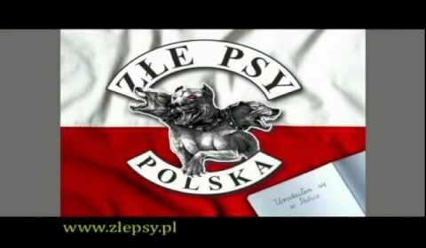 Złe Psy – Polska