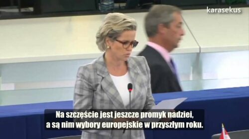 Laurence Stassen: Króliki mają już dosyć eksperymentu