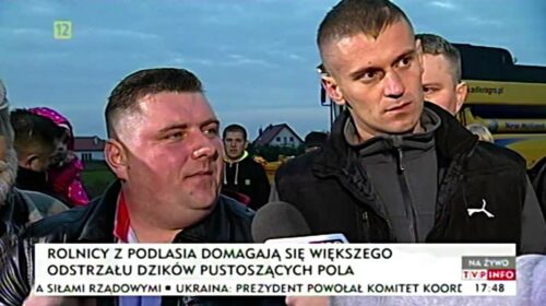 Dzik jest dziki, rolnik jest zły