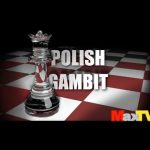 Polski Gambit – ocena rządów PIS