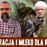 Demokracja i mleko dla kotów!