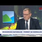 Środowisko naturalne – powrót do normalności