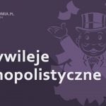 Przywileje monopolistyczne – interwencjonizm