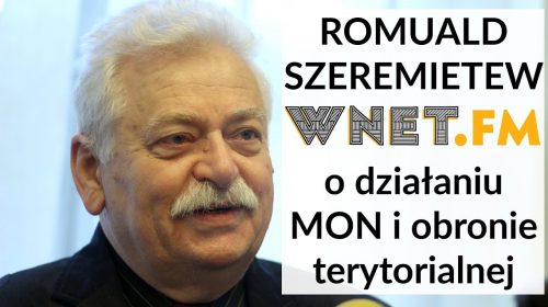 Widzę obronę terytorialną w innej roli niż ta, która jest jej obecnie przypisywana