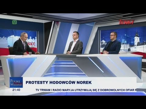 Protesty hodowców norek