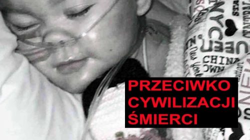 Leszek Żebrowski – Przeciwko cywilizacji śmierci. Sprawa Alfiego (Alfreda) Evansa