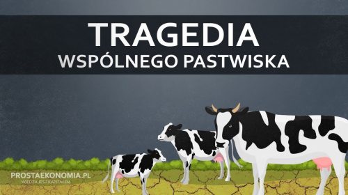 Tragedia wspólnego pastwiska