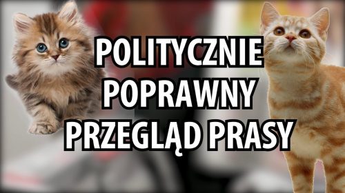 Pięta, Romanse, Dziennikarstwo, Youtube mnie bije