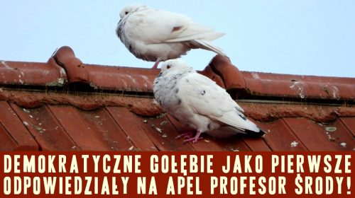 Środa podziemna na dachu