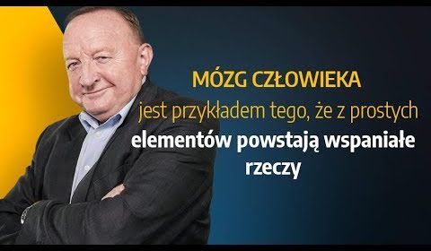 Mózg człowieka jest przykładem tego że z prostych elementów powstają wspaniałe rzeczy