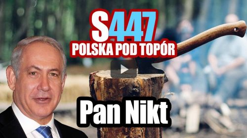 S447, czyli Polska pod topór