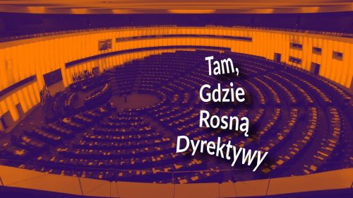 Tam, gdzie rosną dyrektywy — raport z obłąkanego miasta