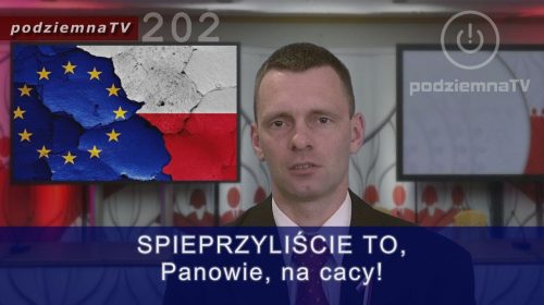 Klęska Antysystemu i prawdziwe wyniki Eurowyborów