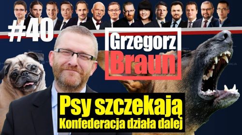 Psy szczekają, Konfederacja działa dalej