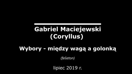 Wybory – między wagą a golonką