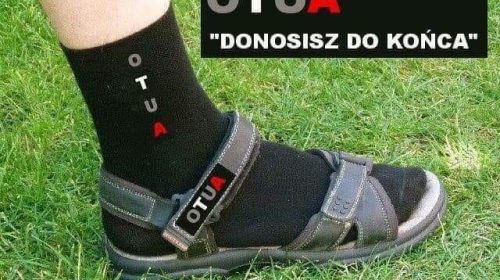 Donosisz do końca…