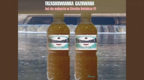 Trzaskowianka minerale