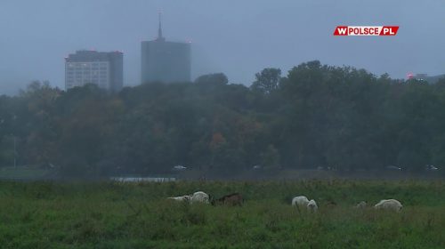 W taki sposób Trzaskowski dba o ekologię