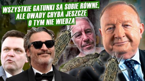 Epstein, mossadówna, smutne krowy i wariat na swobodzie