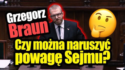 Czy można naruszyć powagę Sejmu?