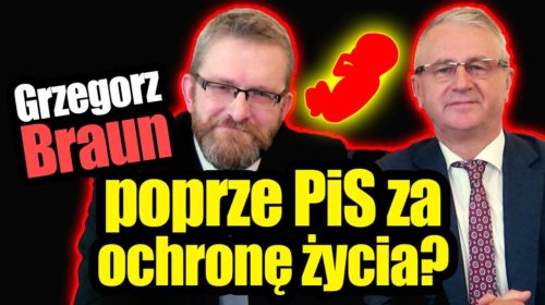 Wybory za ochronę życia