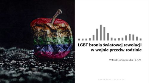 Elgiebete to broń światowej rewolucji w wojnie przeciw rodzinie