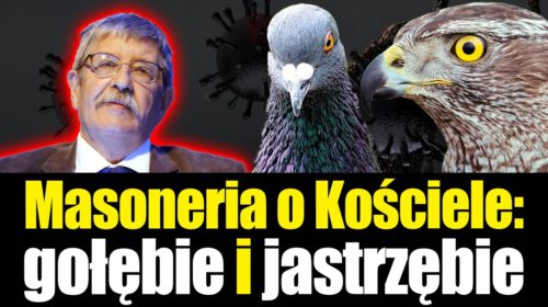 Masoneria: gołębie i jastrzębie w Kościele