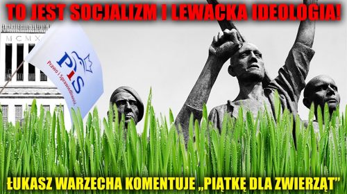 “To jest socjalizm i ideologia!”