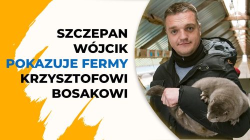 Ferma norek, jak tam jest naprawdę?