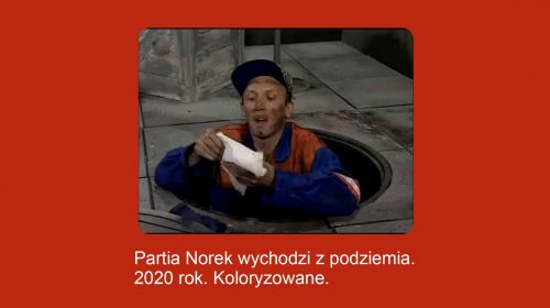 Partia Norek