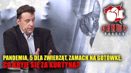 Plandemia, 5 dla zwierząt, zamach na gotówkę