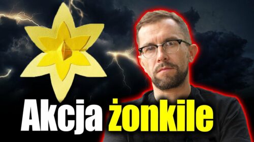 Akcja żonkile