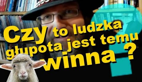 Czy to ludzka głupota jest temu winna?