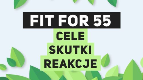 Fit for 55 – cele, skutki, reakcje