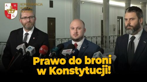 Prawo do broni w Konstytucji RP!