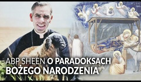 ABP SHEEN o paradoksach Bożego Narodzenia