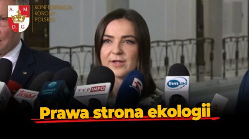 Prawa strona ekologii – problem odpadów związanych z tym szaleństwem