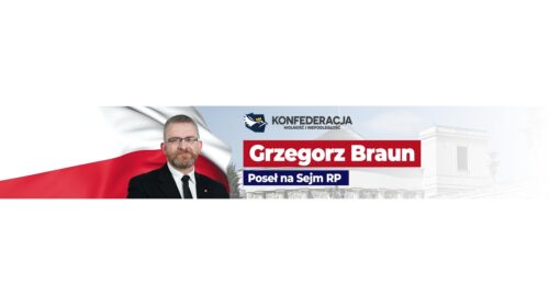 Rzeczpospolita rozbrojona – urzędnicy MON mówią już otwarcie o rozbrojeniu Polski!