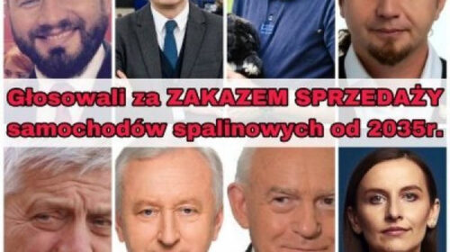 Głosowali za zakazem sprzedaży aut spalinowych!