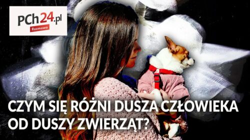 Dusza człowieka, dusza zwierzęcia… Czym się różnią?