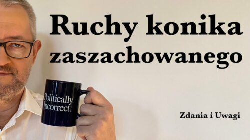 Ruchy konika zaszachowanego