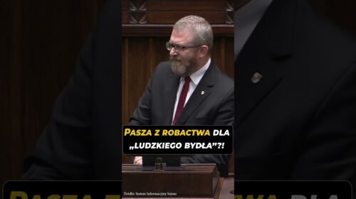 Pasza z robaków dla „ludzkiego bydła”?!