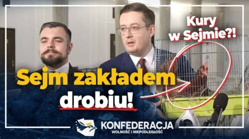 Sejm zakładem drobiu!