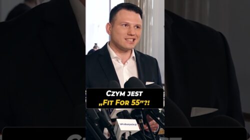 Czym jest “Fit for 55”?