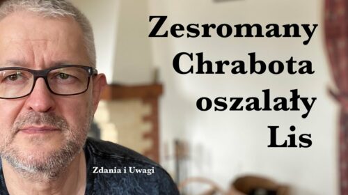 Zesromany Chrabota, oszalały Lis