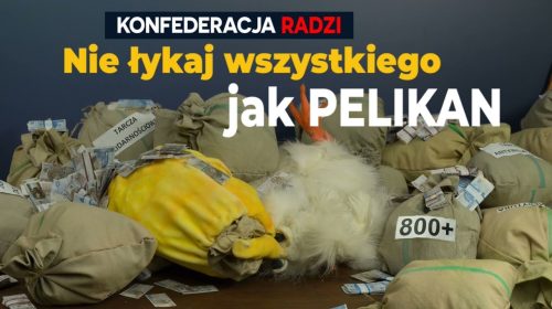 Konfederacja radzi: Nie łykaj wszystkiego jak pelikan!