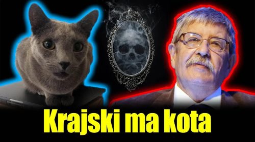 Mój kot zachorował psychicznie po ciężkich przejściach