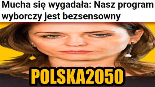 Nasz bezsensowny program wyborczy