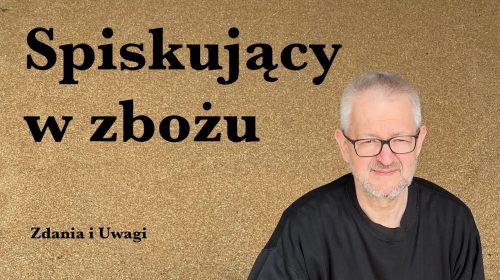 Spiskujący w zbożu