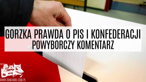 Gorzka prawda o PiS i Konfederacji